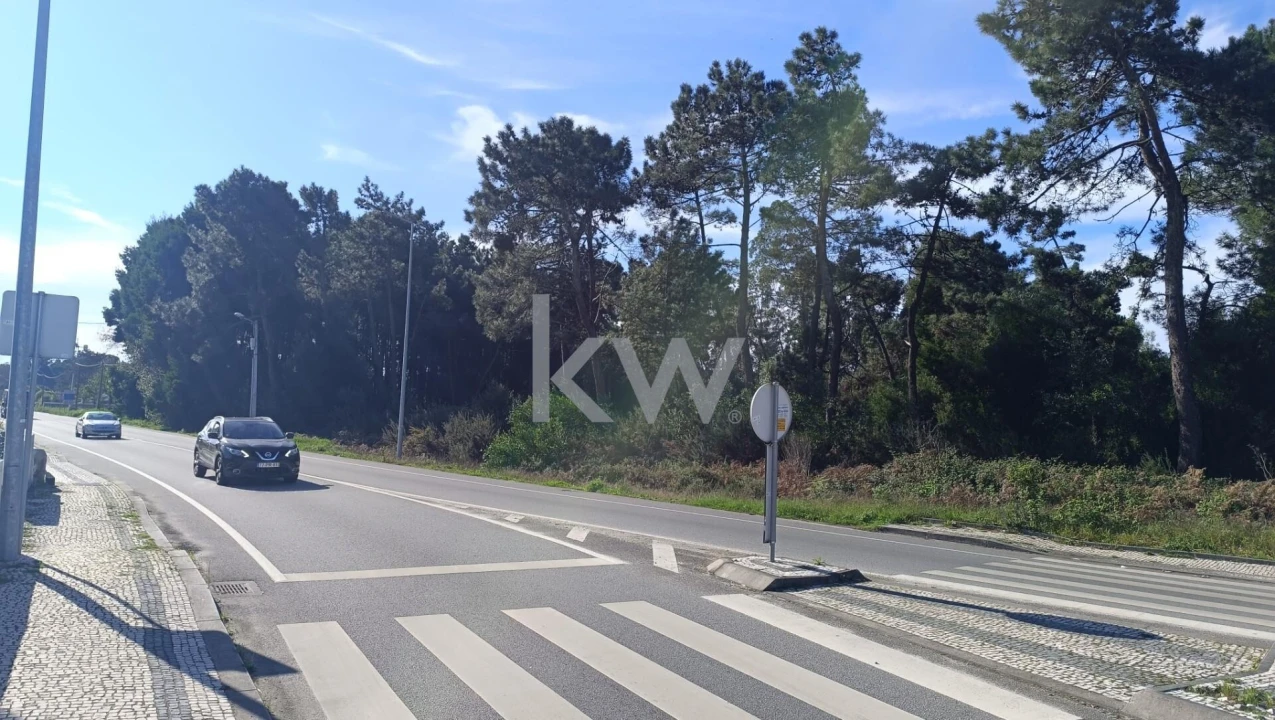 Terreno para Venda em Esposende, Marinhas e Gandra Foto 4