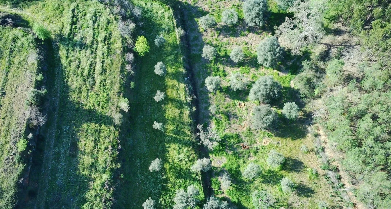 Quinta T4 para Venda em Vale de Prazeres e Mata da Rainha Foto 51