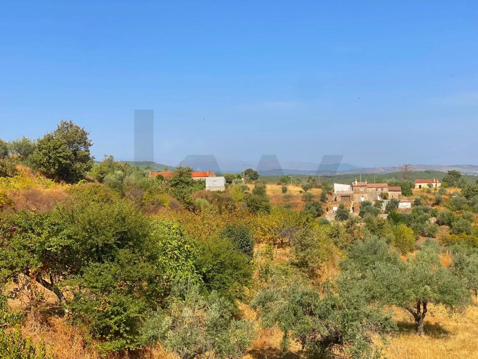 Quinta T4 para Venda em Vale de Prazeres e Mata da Rainha Foto 54