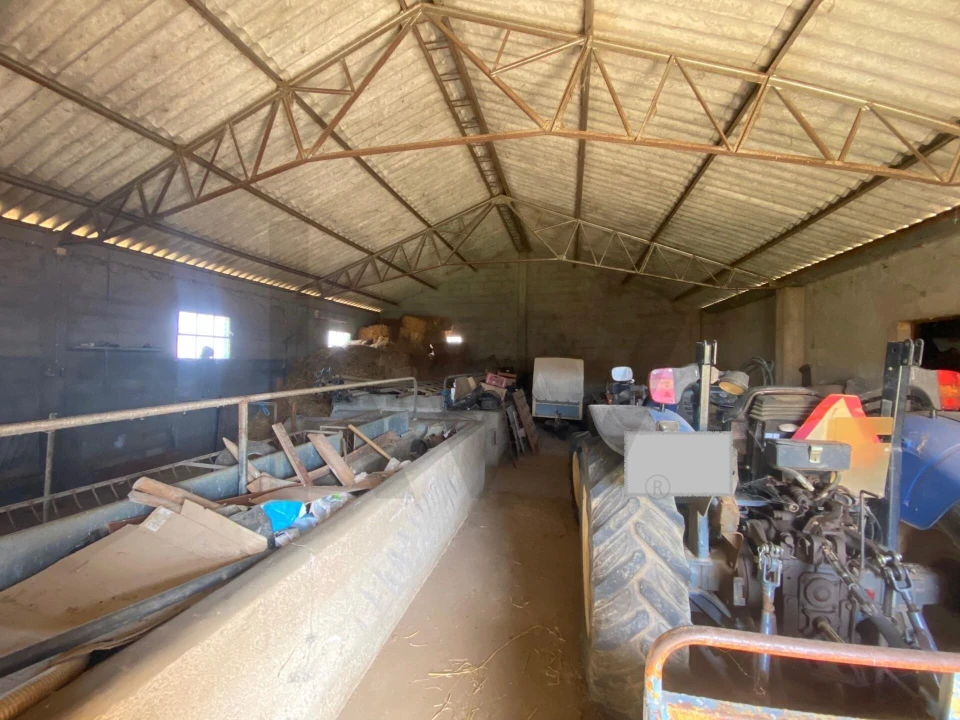 Quinta T4 para Venda em Vale de Prazeres e Mata da Rainha Foto 35