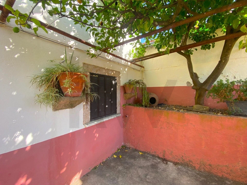 Quinta T4 para Venda em Vale de Prazeres e Mata da Rainha Foto 5