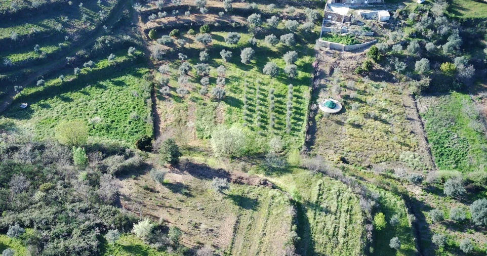 Quinta T4 para Venda em Vale de Prazeres e Mata da Rainha Foto 47