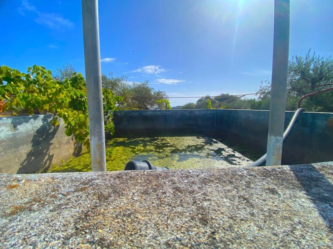 Quinta T4 para Venda em Vale de Prazeres e Mata da Rainha Foto 43