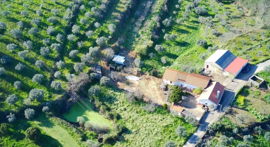 Quinta T4 para Venda em Vale de Prazeres e Mata da Rainha Foto 49