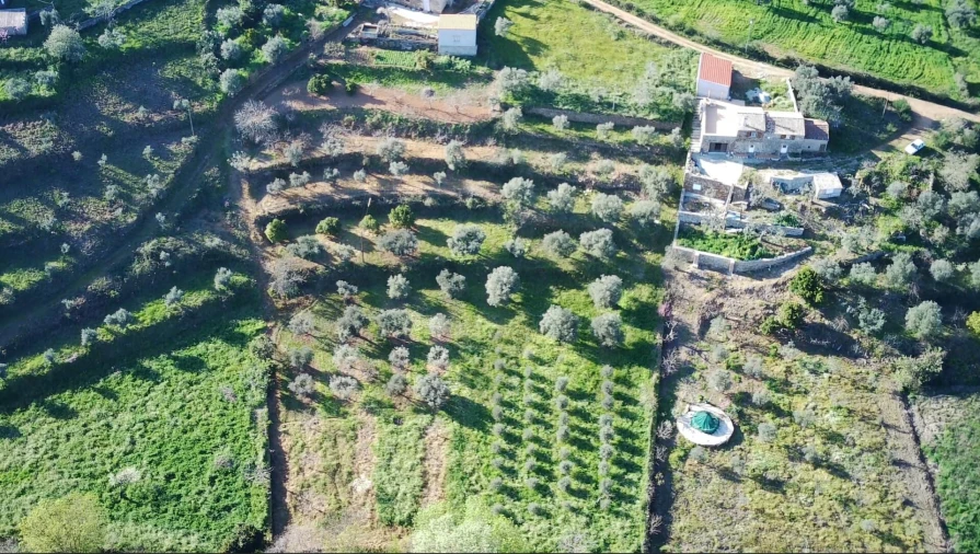 Quinta T4 para Venda em Vale de Prazeres e Mata da Rainha Foto 46
