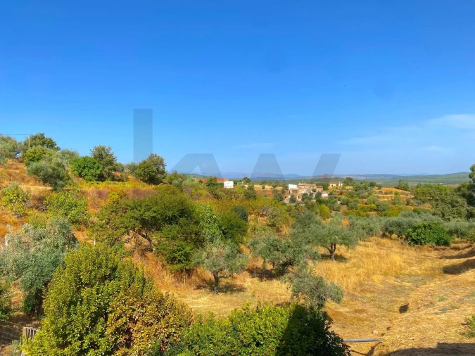 Quinta T4 para Venda em Vale de Prazeres e Mata da Rainha Foto 55