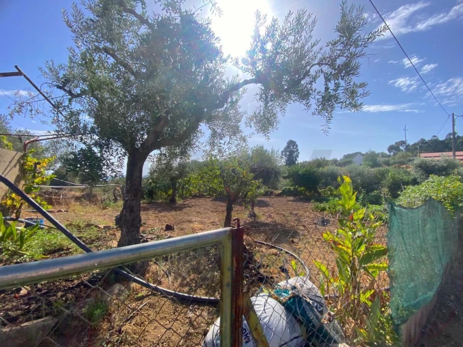 Quinta T4 para Venda em Vale de Prazeres e Mata da Rainha Foto 44