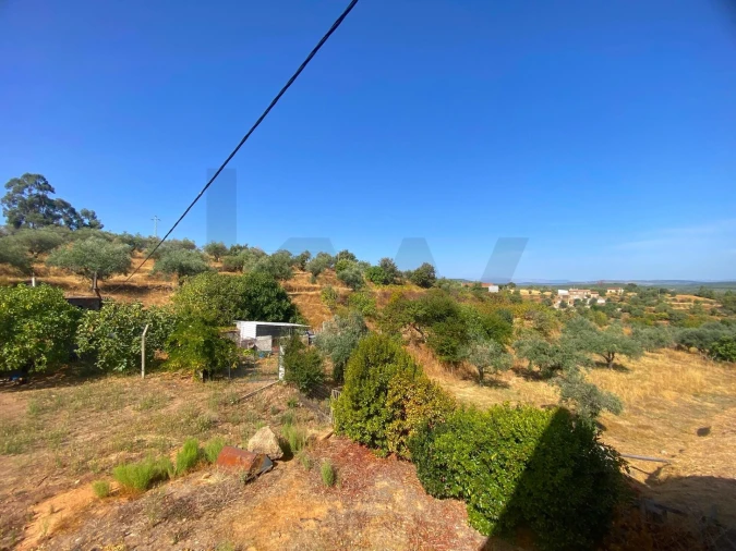 Quinta T4 para Venda em Vale de Prazeres e Mata da Rainha Foto 53