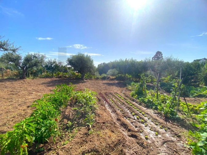 Quinta T4 para Venda em Vale de Prazeres e Mata da Rainha Foto 45