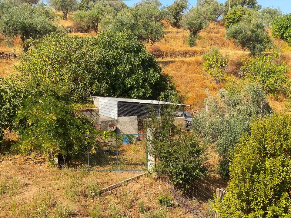 Quinta T4 para Venda em Vale de Prazeres e Mata da Rainha Foto 56
