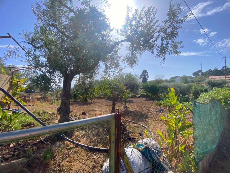 Quinta T4 para Venda em Vale de Prazeres e Mata da Rainha Foto 44