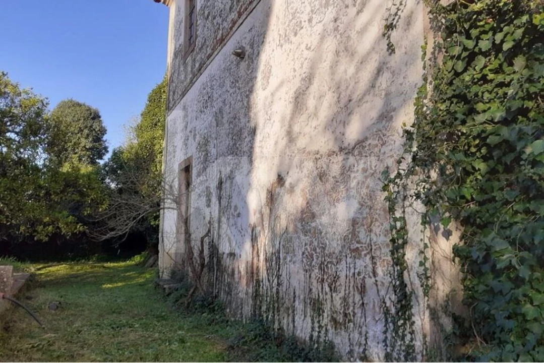 Quinta T14 para Venda em Nossa Senhora do Pranto Foto 29