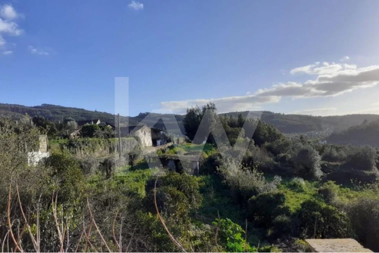 Quinta T14 para Venda em Nossa Senhora do Pranto Foto 8