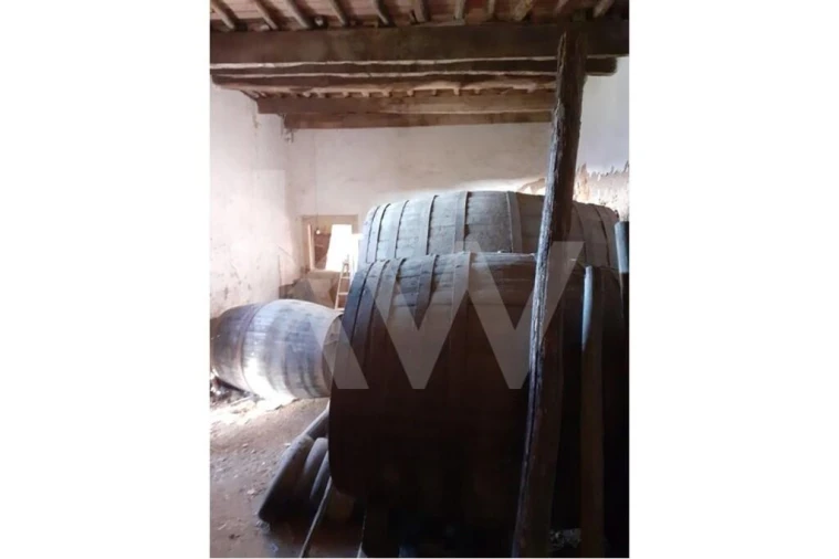 Quinta T14 para Venda em Nossa Senhora do Pranto Foto 32