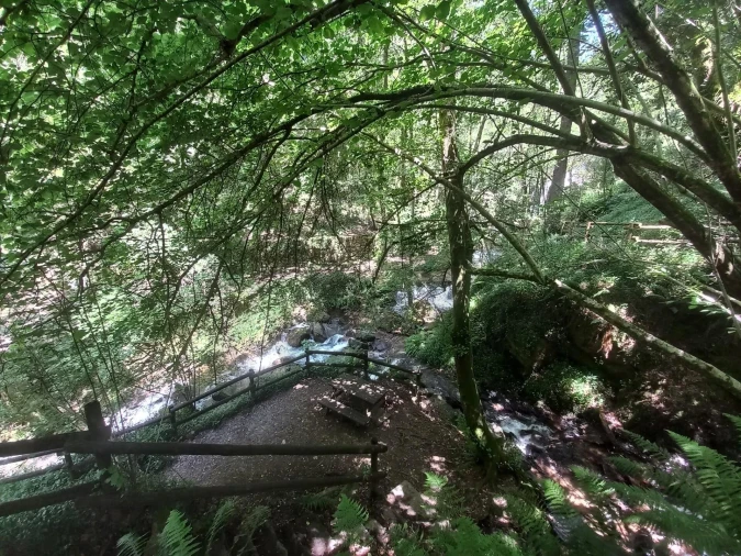 Moradia T2 para Venda em Sever do Vouga Foto 14