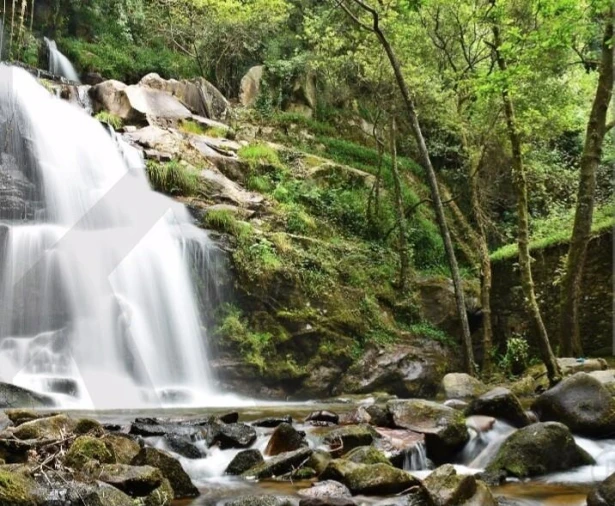 Moradia T2 para Venda em Sever do Vouga Foto 15