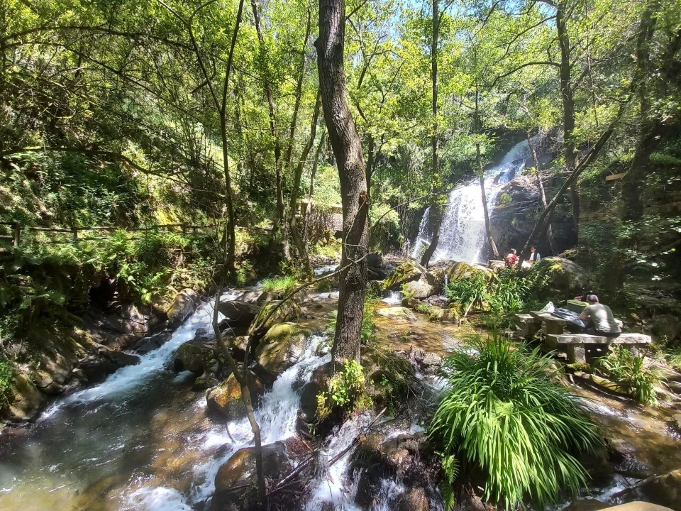 Moradia T2 para Venda em Sever do Vouga Foto 9