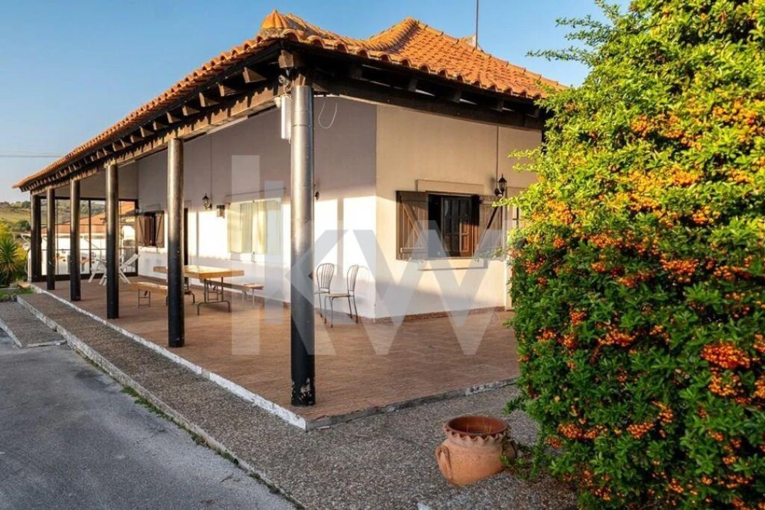 Quinta T8 para Venda em Manique do Intendente, Vila Nova de São Pedro e Maçussa Foto 43