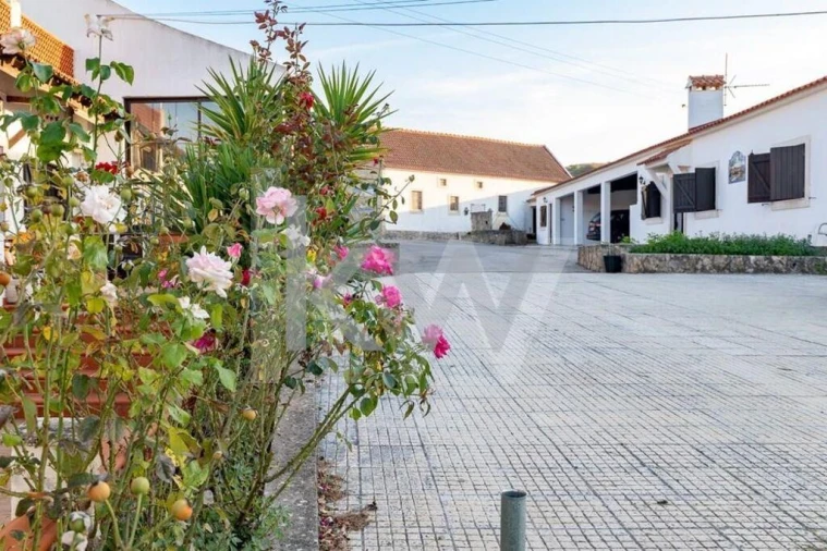 Quinta T8 para Venda em Manique do Intendente, Vila Nova de São Pedro e Maçussa Foto 52