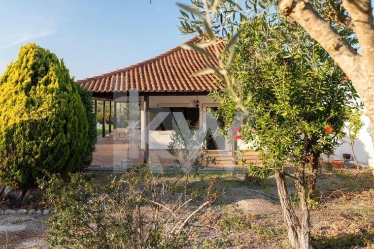 Quinta T8 para Venda em Manique do Intendente, Vila Nova de São Pedro e Maçussa Foto 41