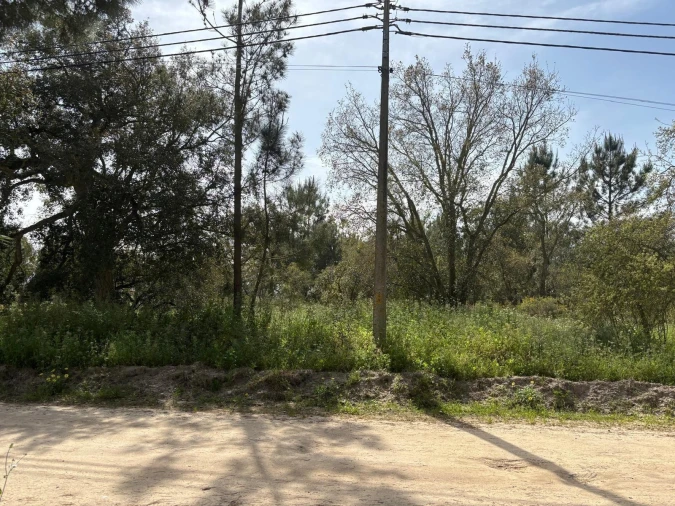 Terreno para Venda em Salvaterra de Magos e Foros de Salvaterra Foto 18