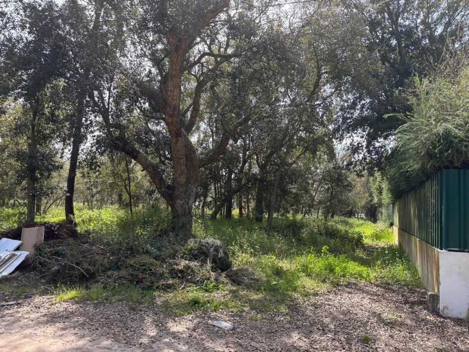 Terreno para Venda em Salvaterra de Magos e Foros de Salvaterra Foto 15