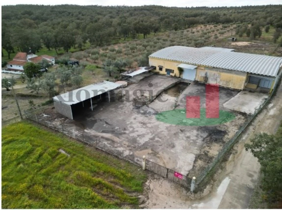 Armazém para Venda em Parreira e Chouto Foto 4