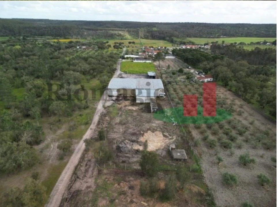 Armazém para Venda em Parreira e Chouto Foto 3