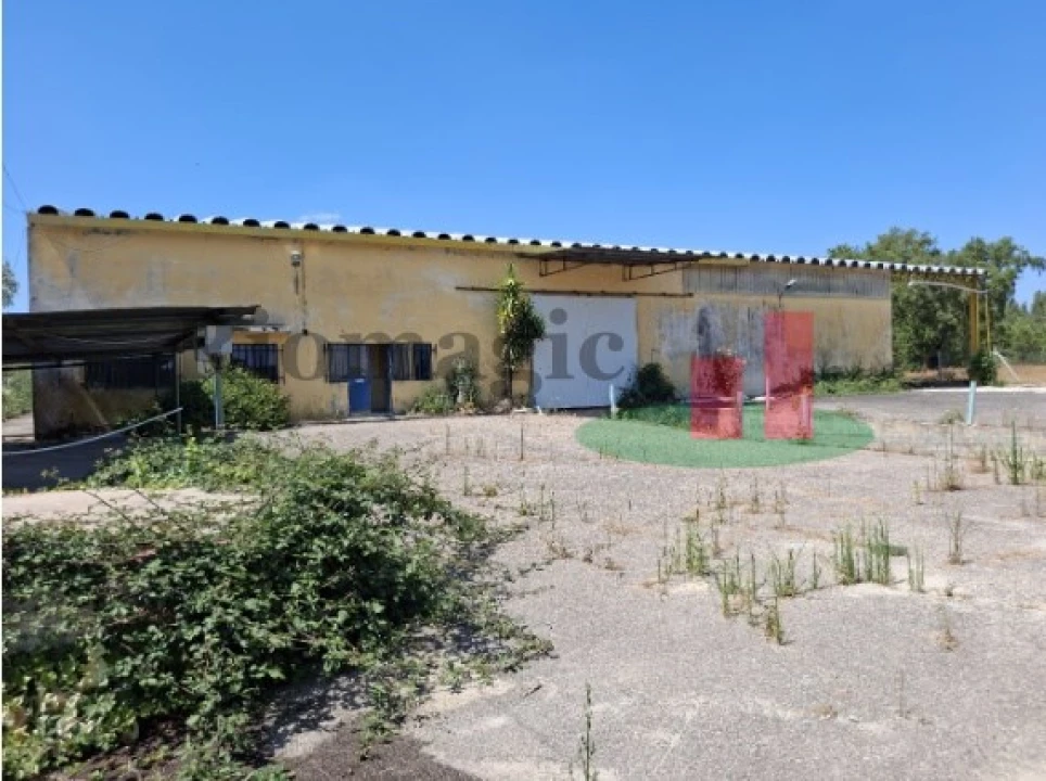 Armazém para Venda em Parreira e Chouto Foto 6