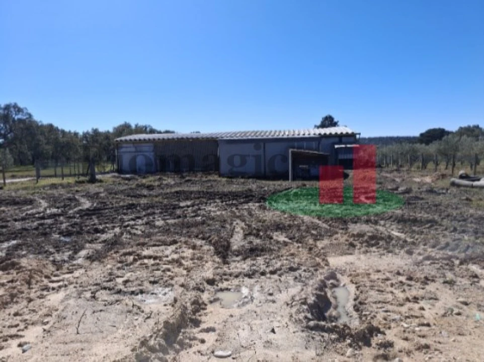 Armazém para Venda em Parreira e Chouto Foto 8