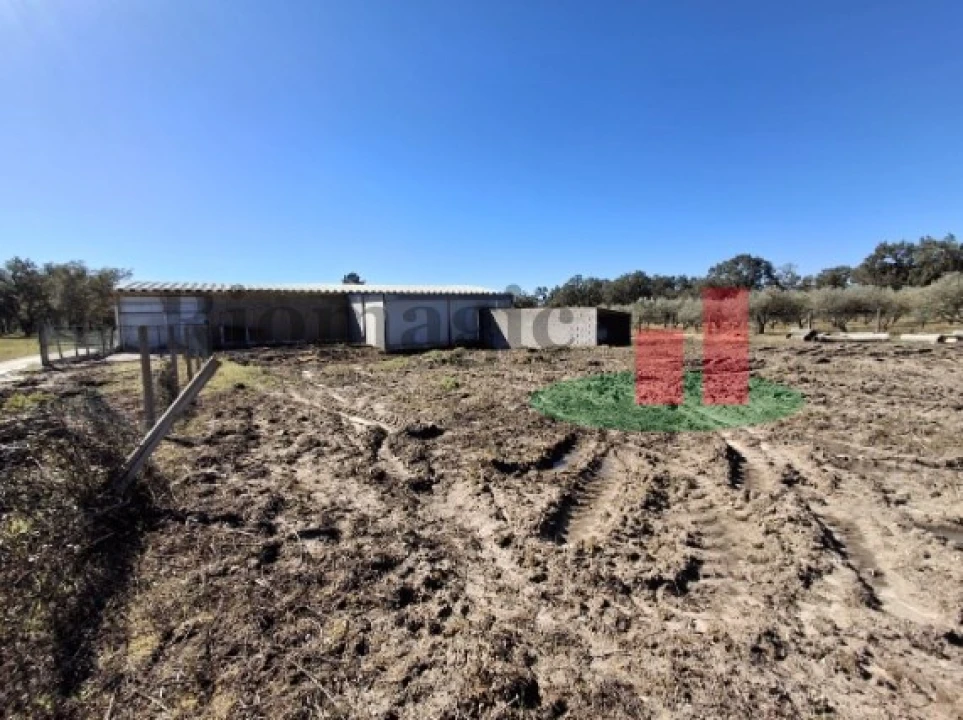 Armazém para Venda em Parreira e Chouto Foto 9