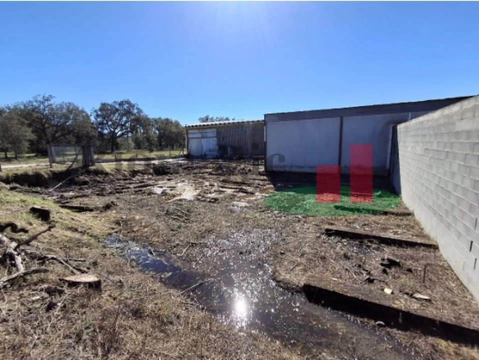 Armazém para Venda em Parreira e Chouto Foto 10
