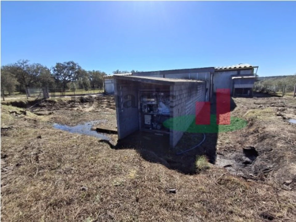 Armazém para Venda em Parreira e Chouto Foto 12