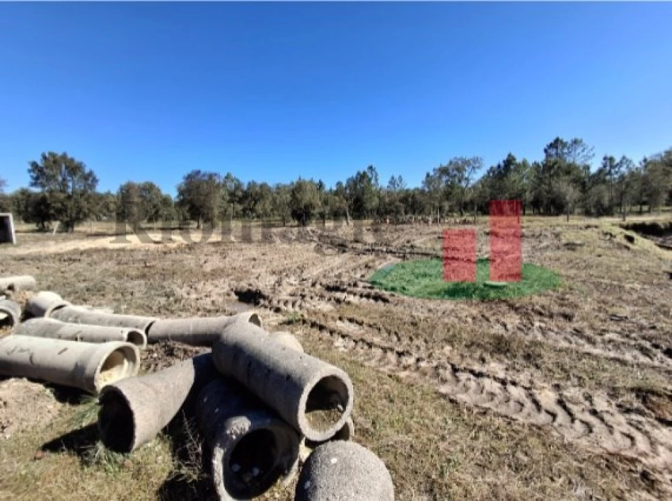 Armazém para Venda em Parreira e Chouto Foto 14