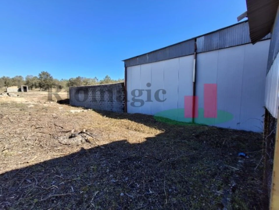 Armazém para Venda em Parreira e Chouto Foto 15