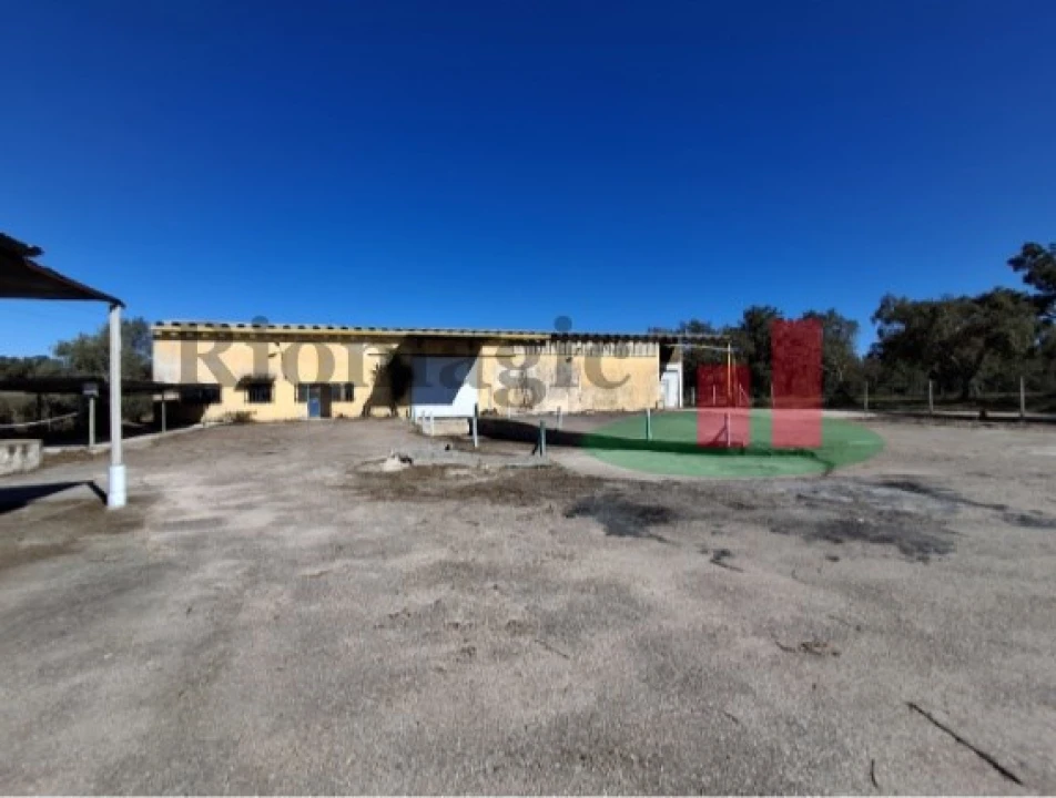 Armazém para Venda em Parreira e Chouto Foto 17