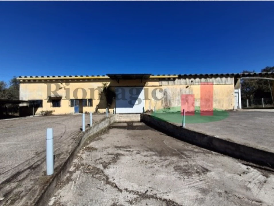 Armazém para Venda em Parreira e Chouto Foto 18
