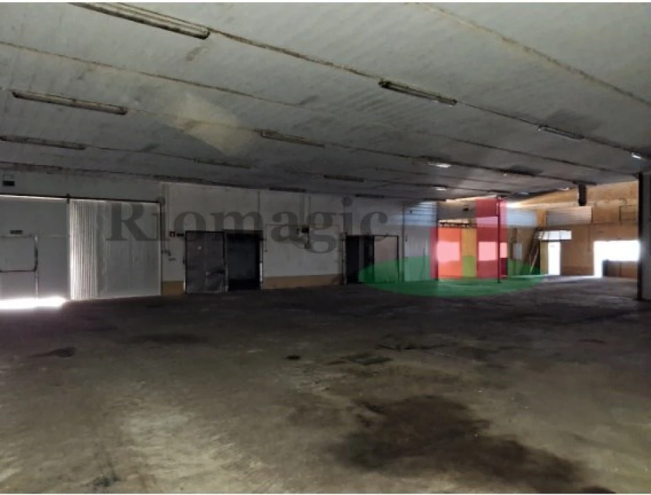 Armazém para Venda em Parreira e Chouto Foto 27