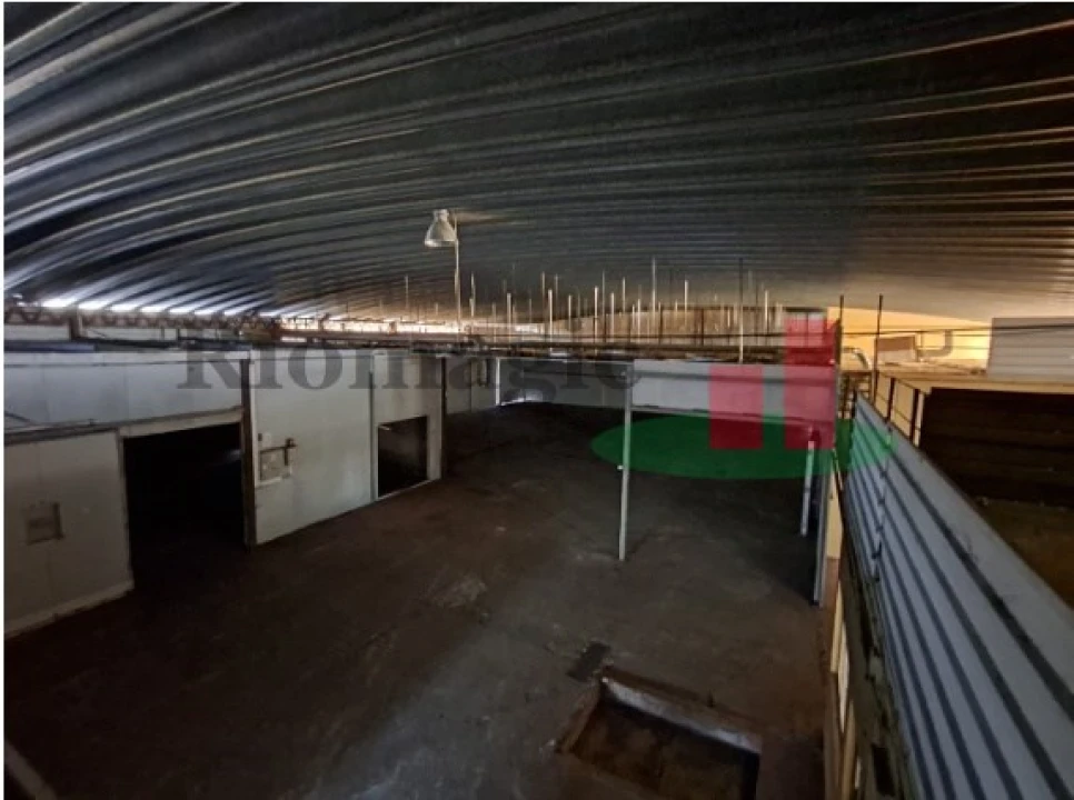 Armazém para Venda em Parreira e Chouto Foto 31