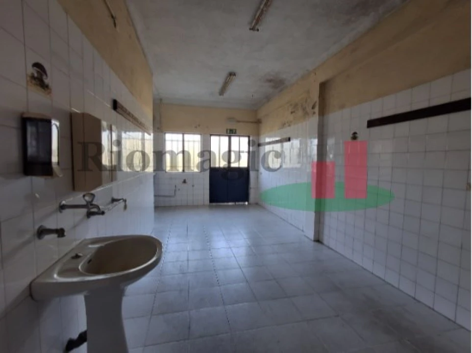 Armazém para Venda em Parreira e Chouto Foto 34