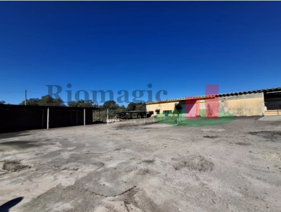 Armazém para Venda em Parreira e Chouto Foto 37