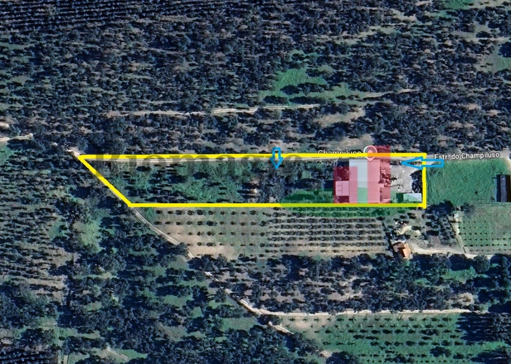 Armazém para Venda em Parreira e Chouto Foto 38