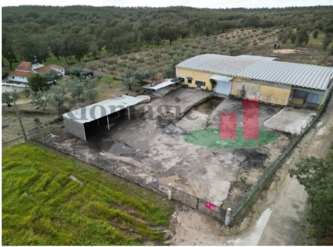 Armazém para Venda em Parreira e Chouto Foto 4