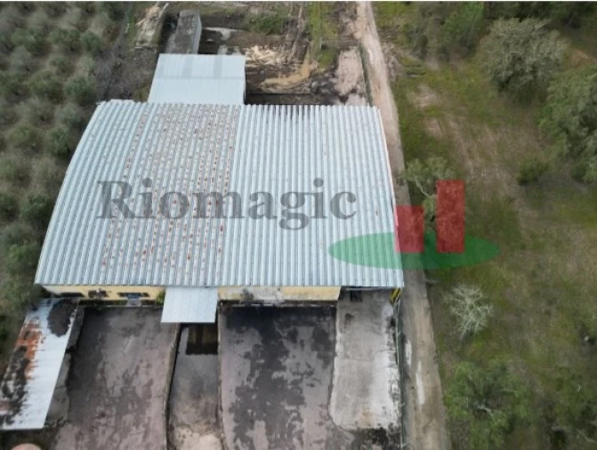 Armazém para Venda em Parreira e Chouto Foto 2