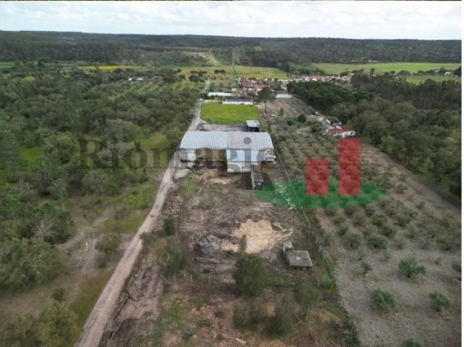 Armazém para Venda em Parreira e Chouto Foto 3