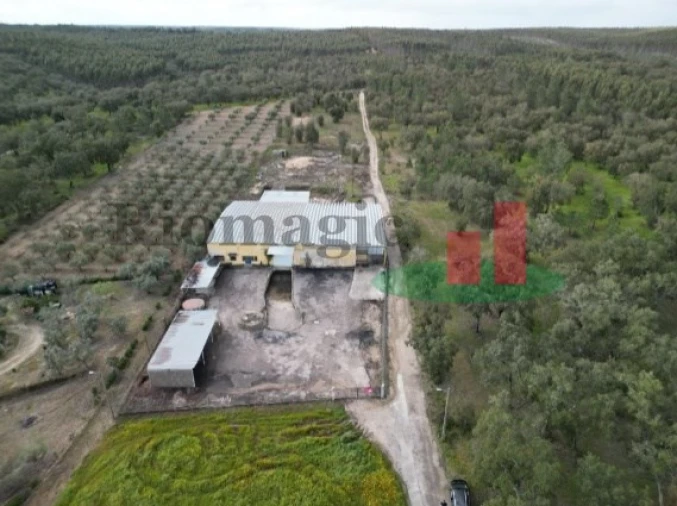 Armazém para Venda em Parreira e Chouto Foto 1