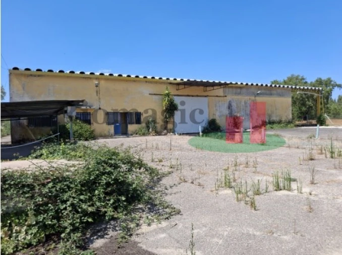 Armazém para Venda em Parreira e Chouto Foto 6