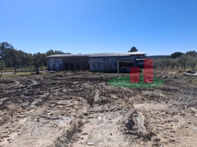Armazém para Venda em Parreira e Chouto Foto 8