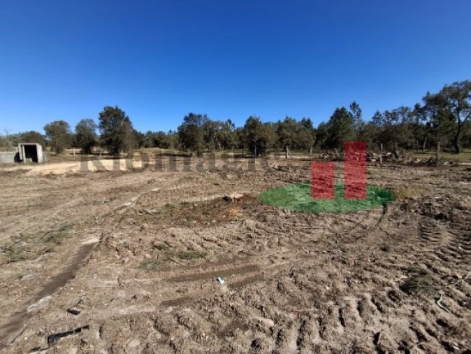 Armazém para Venda em Parreira e Chouto Foto 11