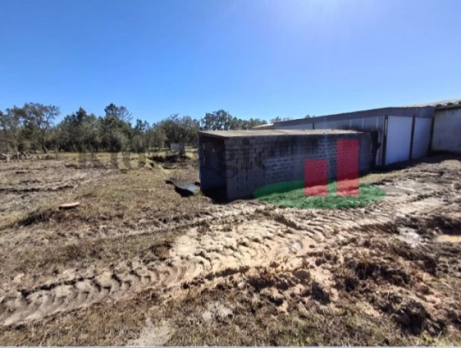 Armazém para Venda em Parreira e Chouto Foto 13